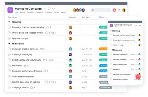 11 Best Project Management Tools & Software [2024] • Asana.